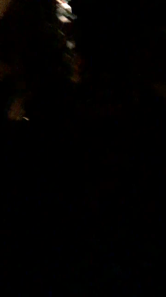 あの時楽しかったよなあ   じゃねえよ  気づけ！ってSNSの記事動画