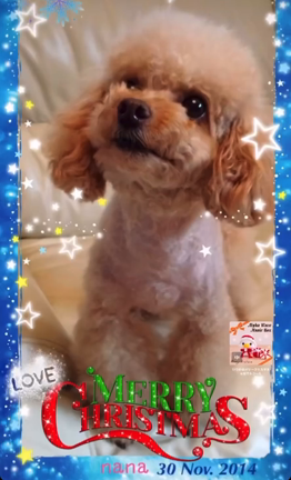 なな安らかに。。。の記事動画