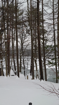 正直村の冬景色の記事動画