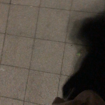 公園プレ公演？！の記事動画