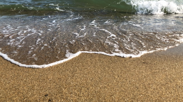 ７月 大阪の記事動画