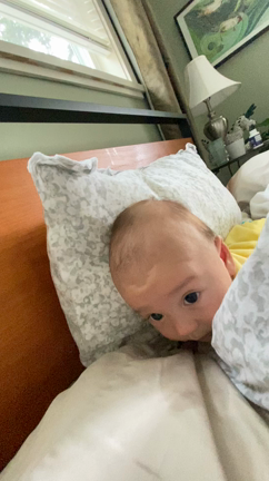 顔だけひょっこり！いもむしナユちゃんの記事動画