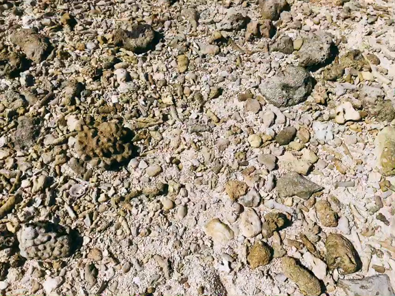 沖縄の思い出＠ファビアンの記事動画