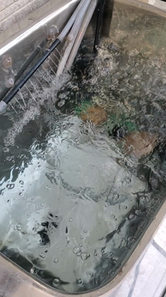 川の準備の記事動画