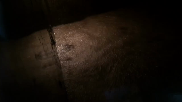 インフルエンザの感染予防にクリーニングの記事動画