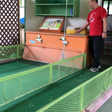 アヒルの運試しの記事動画