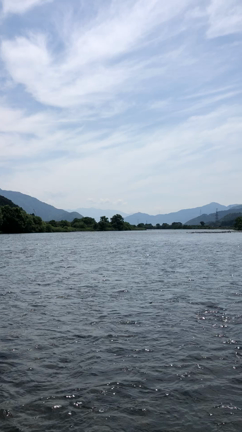 九頭竜川サクラマス備忘。の記事動画