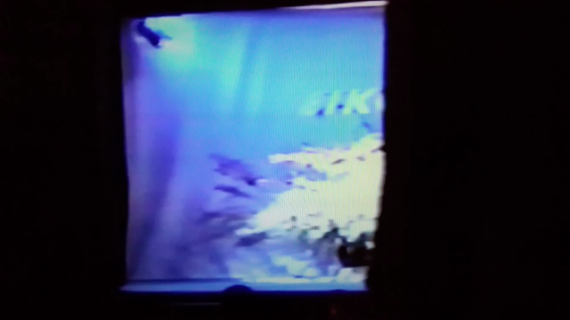 こんな時代もありました。の記事動画