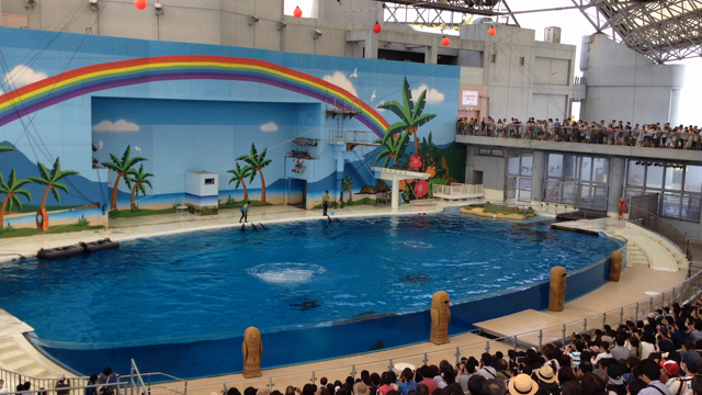 12年来のの記事動画