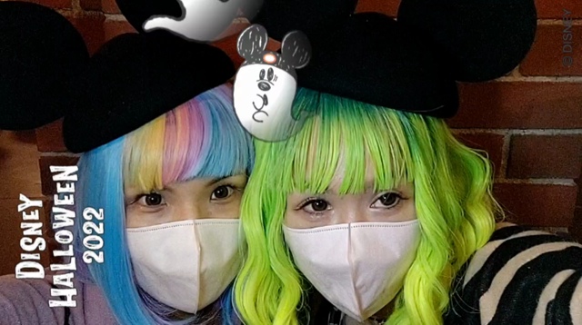 ハロウィンディズニー♪ディズニーランド♪⑧の記事動画