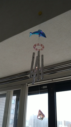 風の時代へ向けて〜誠実な人間関係とは〜の記事動画