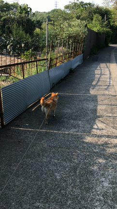 自然も満喫♪やさぐれ女達♪♪の記事動画