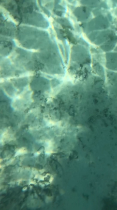 夢かなvol.255 配信中！〜ヘンゼルとグレーテル第2回〜の記事動画