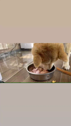 ”お礼とご報告”の記事動画