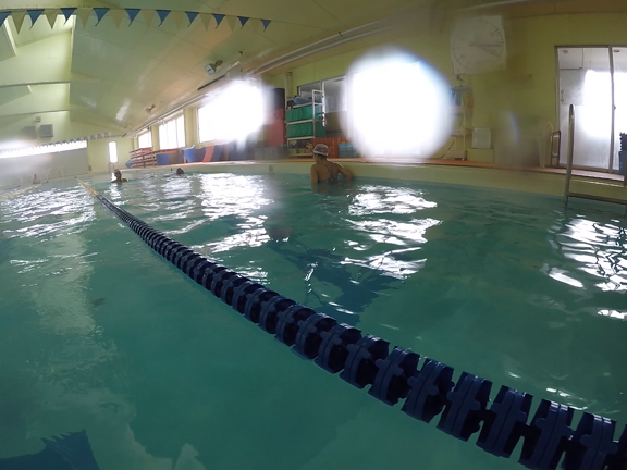 撮れてるかな？の記事動画