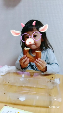 こんちゃんの食欲完全復活。の記事動画