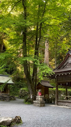 貴船神社@京都の記事動画