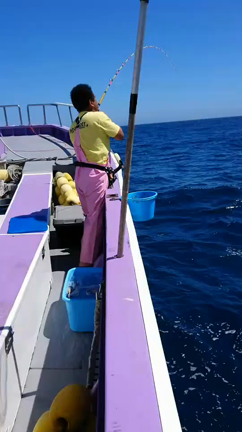 昨日のシマアジ動画の記事動画