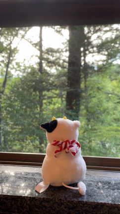 温泉思い出牛の記事動画