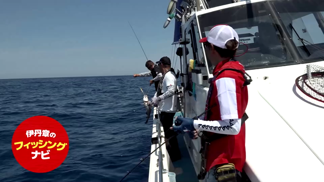 タラジギングYouTubeの記事動画