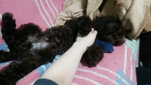 嬉しいの。の記事動画