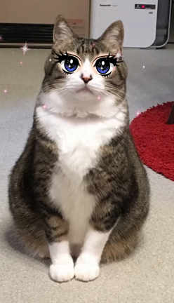 アクシーズファム　寒いところにお出かけ！！の記事動画