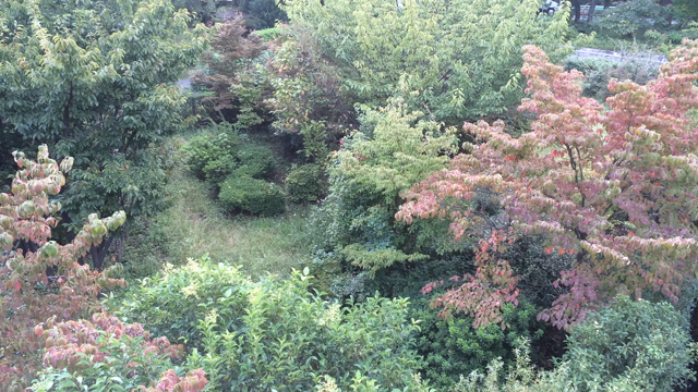 同じような…の記事動画