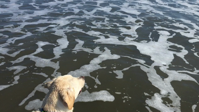 初☆九十九里の記事動画