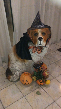 Happy Halloween ♡飾り付けの記事動画