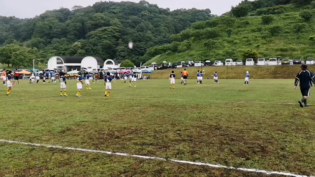 雨のラグビーの記事動画