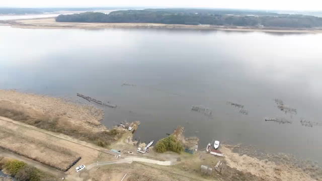 ファントム４　ドローン　初心者の記事動画