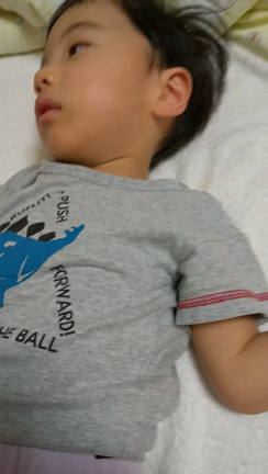 その後の息子の記事動画