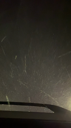 ガーリックシュリンプ♡コナズ珈琲@大津の記事動画