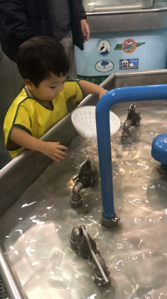 追記☆息子の誕生日☆スーパーボールベイビーの記事動画