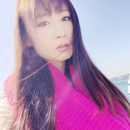 日間賀島に行ってきました(*ﾟωﾟ)ﾉの記事動画