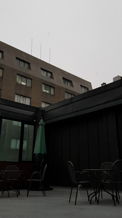 ひさしぶりの雨の記事動画