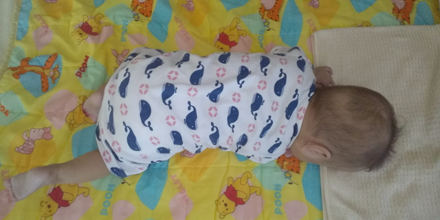 生後１１ヶ月で初めての寝返り返り 修正７ヶ月 超低出生体重児 晩期循環不全で脳室周囲白質軟化症 Pvl 脳性麻痺になった次女と子宮頚管無力症の母