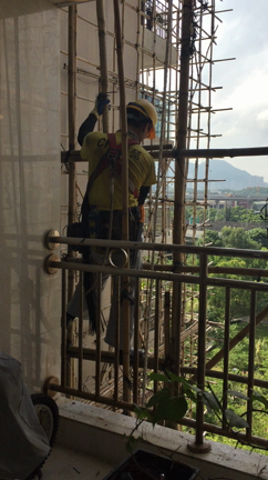 ついに！の記事動画