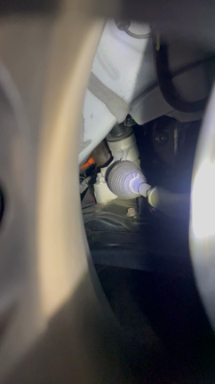 ボンネットに猫…の記事動画