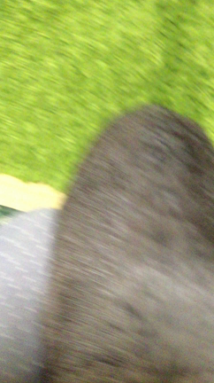 荒くれぼのちゃんの記事動画