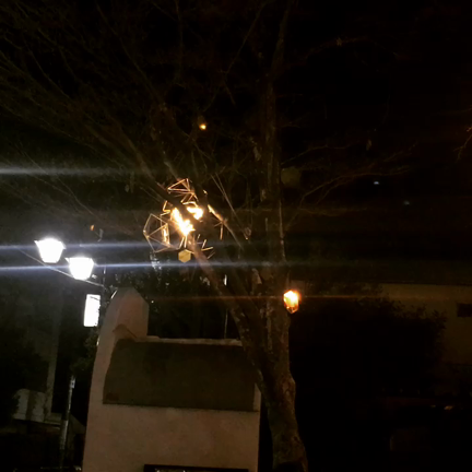 街角で出逢ったものの記事動画