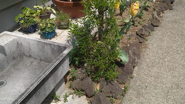 婚活中の会員さんに伝えていることとは…　＆【モグきよ観察】いよいよ今年も始まる！？の記事動画