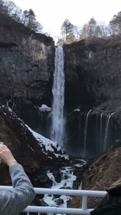 ☆本日のコラム☆ 舞夜先生！スカイベリーイチゴがりと華厳の滝♪の記事動画