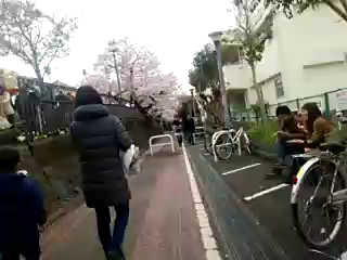 今日はタイヤの日の記事動画