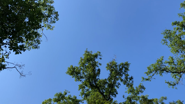 至福のお散歩の記事動画