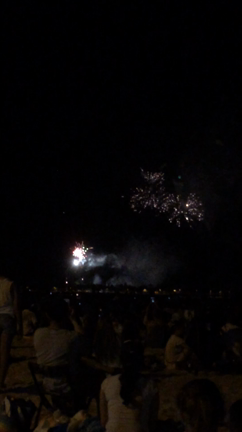 クレイがある安心感♪の記事動画