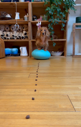 ずっとチャレンジしたかったんです。マリオカートの記事動画