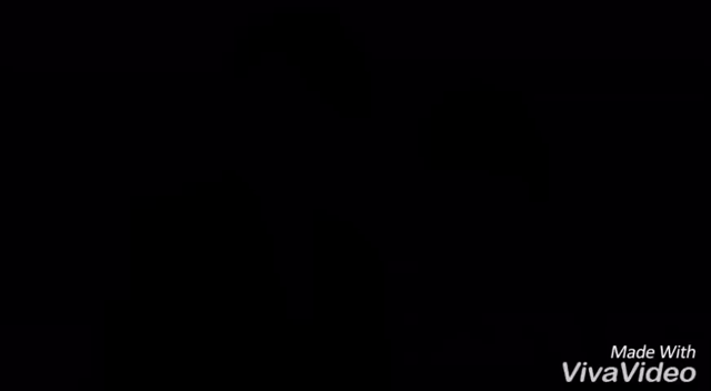 2017.11.19結婚式！part②    ラスト♡動画追加の記事動画