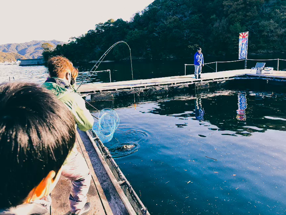 グレ参戦‼️2日連続でクエが3匹ずつ釣れました‼️‼️の記事動画