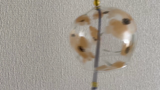 風鈴がチリーンとなれば夏が来た！日本の夏の『音』を癒しの風鈴の音で風を感じて♡の記事動画